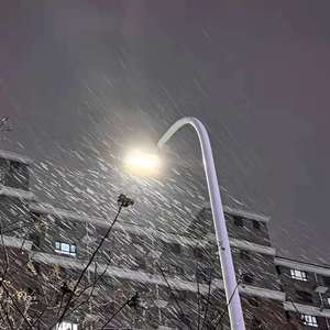 秀秀莉莉玲玲第1-4部
