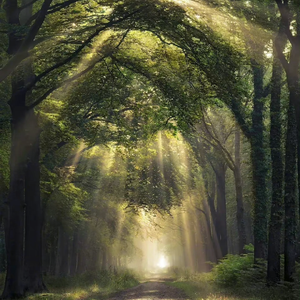 秀秀莉莉玲玲第1-4部
